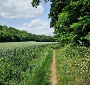 Chemins autour de Nogent et Montataire - Nogent-sur-Oise - 3