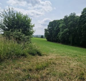 Chemins autour de Nogent et Montataire - Nogent-sur-Oise - 5