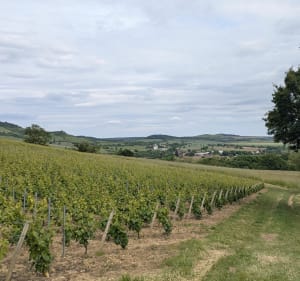 Boucle par la Cascade du Cul de Menevault - Cormot-Vauchignon - 3