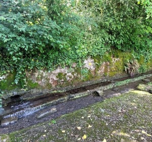 Le Puech del Carbonniès - Berlats - 5
