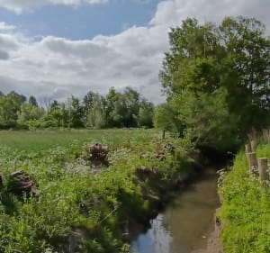 Balade dans la campagne de Coutiches - Coutiches - 3