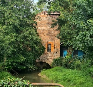 Muret - Le Fauga - Saint-Hilaire - Ox - Muret - Frederic - 3