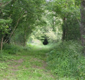 NEUVY BOUIN 40km - Neuvy-Bouin - 4
