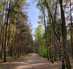 Ścieżka zdrowia w granicach miasta-sposób na aktywny spacer - Wolica - 4