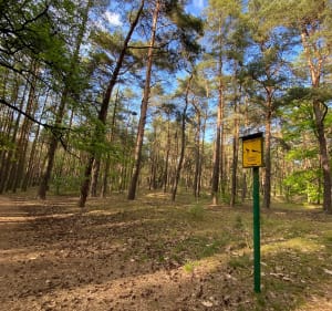 Ścieżka zdrowia w granicach miasta-sposób na aktywny spacer - Wolica - 5