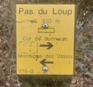 Boucle du Pas du Loup - Rochefort-Samson - 4