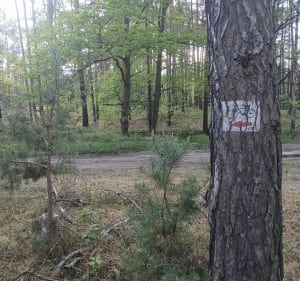 W poszukiwaniu starych szlaków - Lubsko - 4
