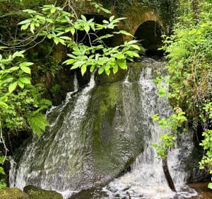 Les cascades du moulin de l’Âge et du moulin de Jeammeyrat - Philippe - 4