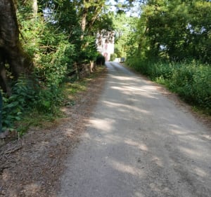 Tour sous les arbres de Guémené-Penfao - Franck - 3