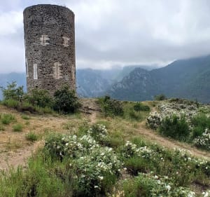 Tour de Goa, Pic de la Pena et Col de Jou - Vernet-les-Bains - 3