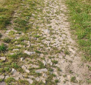 Vers les mégalithes de Saint-Just - Guipry-Messac - 4
