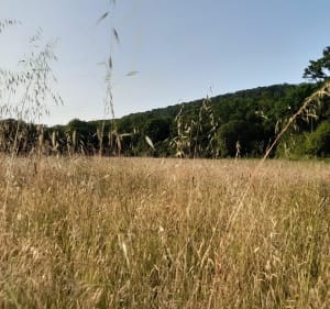 Du port du Faou à la campagne de Rumengol - Le Faou - 3