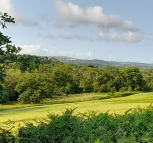 Du port du Faou à la campagne de Rumengol - Le Faou - 5