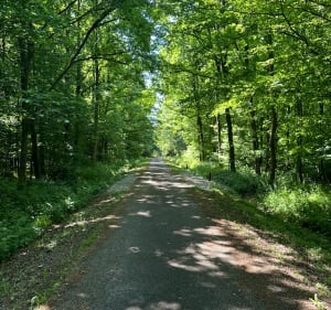 Balade entre Condé-Northen et Pontigny - Condé-Northen - 3