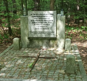 Pętla leśna Panewniki - Katowice - 5