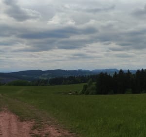 Włodzicka wieża - Świerki - 3