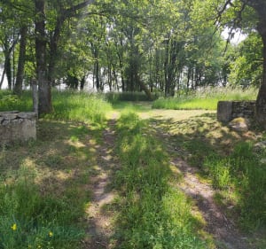 Puy du Mas dans les pas du géant... Laissez-vous surprendre! - Saint-Hilaire-les-Courbes - 4