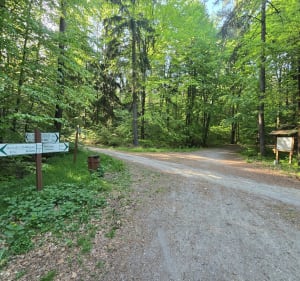 Do wieży Bismarcka - Żary - 4