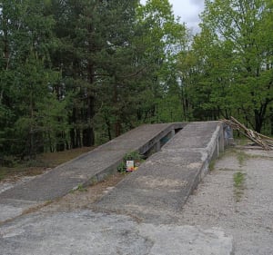 Zielonkowski las z bunkrami - Zielonka - 5