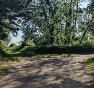Pointe d'Agon au départ du camping les Mouettes - Agon-Coutainville - 5