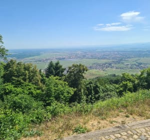 Objectif 40km Colmar - Colmar - 3