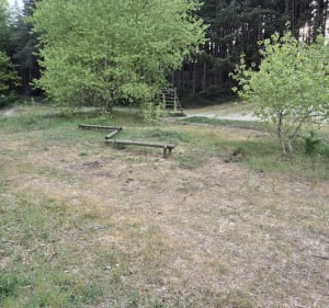Entre dunes et forêt au départ de Merlimont - Merlimont - 5
