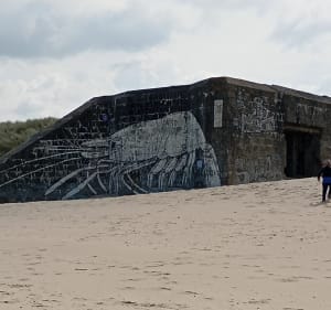 Randonnée au coeur des dunes marchande - florine - 5