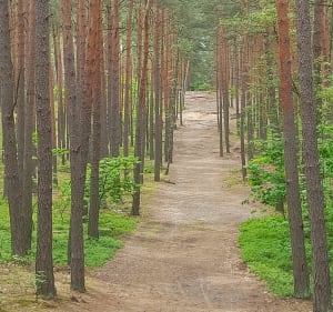 Kampinoski Park Narodowy - Łomianki - 3