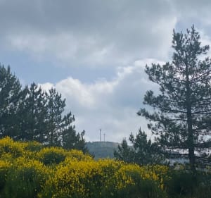 Camplong- Puy Durant et Chapelle Saint Sauveur - Camplong - 5