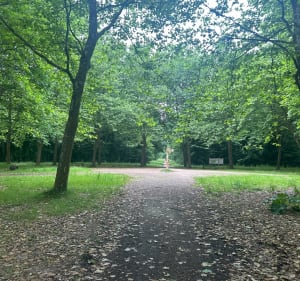 Forêt de Ferrières et Bois des Pucelles - Ferrières-en-Brie - 3