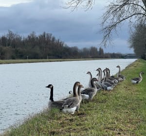 Balade au fil de l’eau, par Guarbecque - Busnes - 3