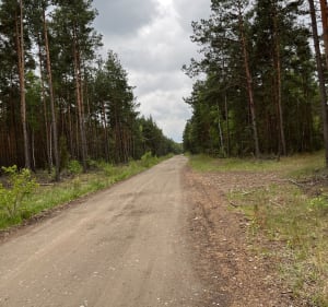 Błędów -Laski- Okradzionów. - Dąbrowa Górnicza - 4