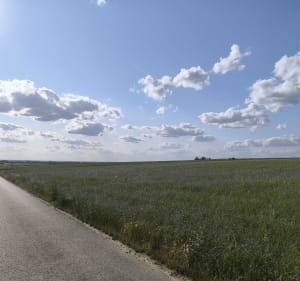 Częstochowa Żuraw Rudniki Częstochowa - Częstochowa - 3