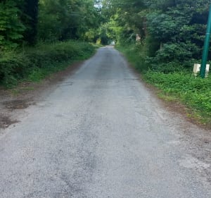 Randonnée de la Belou de Dompierre, par Villedoux - Dompierre-sur-Mer - 5