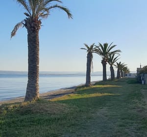 Balade au Jaï depuis Marignane - Marignane - 4