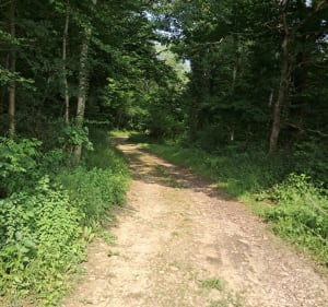 Boucle des Avoux en passant par la rivière du Cottey et le lac - Dagneux - 4