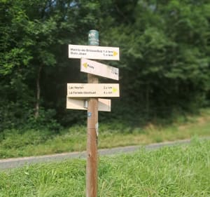 Boucle des Avoux en passant par la rivière du Cottey et le lac - Dagneux - 5