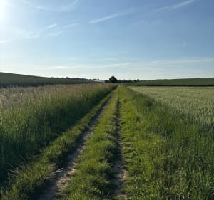 Chemin tortueux à Moussy-le-Vieux - Moussy-le-Vieux - 3