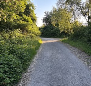 Chemin tortueux à Moussy-le-Vieux - Moussy-le-Vieux - 4