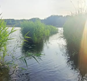 Kolejne odkrycie Rybnik t - Rybnik - 3