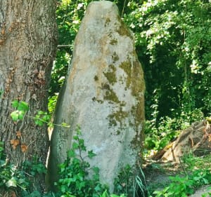 Boucle à partir de Gennes-Val-de-Loire, par la Saulnerie - Gennes-Val-de-Loire - 3