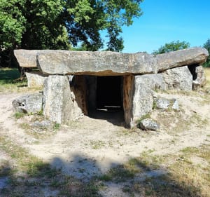 Boucle à partir de Gennes-Val-de-Loire, par la Saulnerie - Gennes-Val-de-Loire - 4