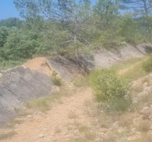 Randonnée à l'ombre des pins de Venelles - Venelles - 4