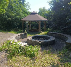 Wielki las lubański - Lubań - 4