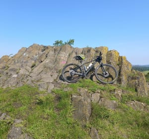 Wielki las lubański - Lubań - 5