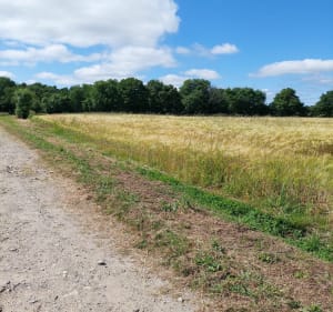 Petite balade à Montbert - Montbert - 3