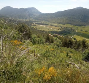 Caille - Valdeblore par le lac Valentin - Caille - 4