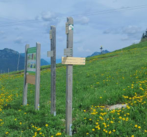 Pointe de Beauregard en boucle depuis Azureva - La Clusaz - 2