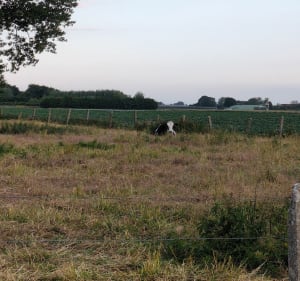 Greenie walk par Fromelles de Herlies - Herlies - 3