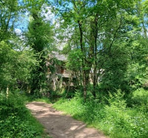 Vallée du Canut et moulin du Ritoir - Lassy - 4